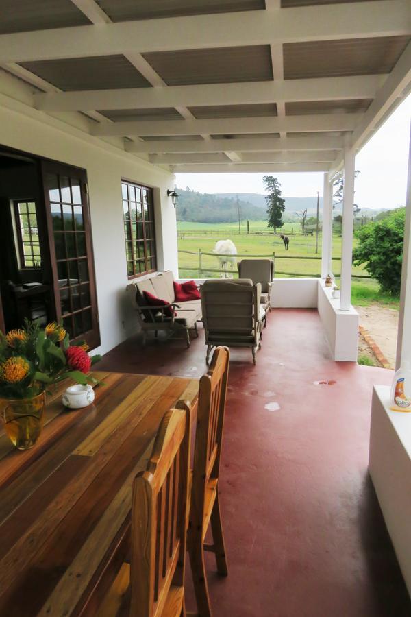 Out Of Plett Βίλα Plettenberg Bay Εξωτερικό φωτογραφία